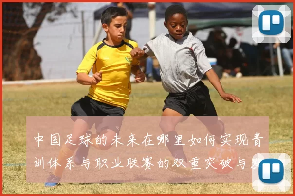 中国足球的未来在哪里如何实现青训体系与职业联赛的双重突破与发展
