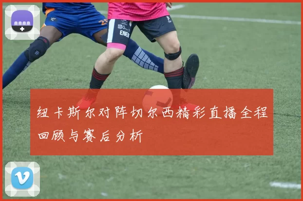 纽卡斯尔对阵切尔西精彩直播全程回顾与赛后分析